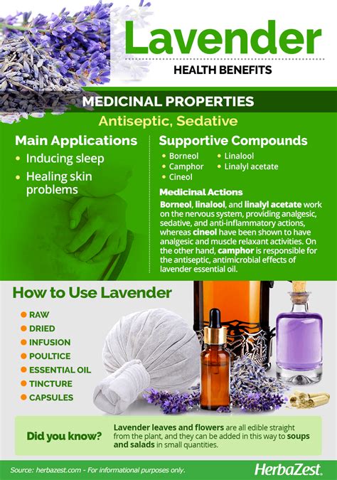 Lavender: The Key to a Restful Night's Sleep in Magnum Properties